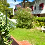 N195 - Numana, Ampio Pentalocale Con Giardino ヌマーナ